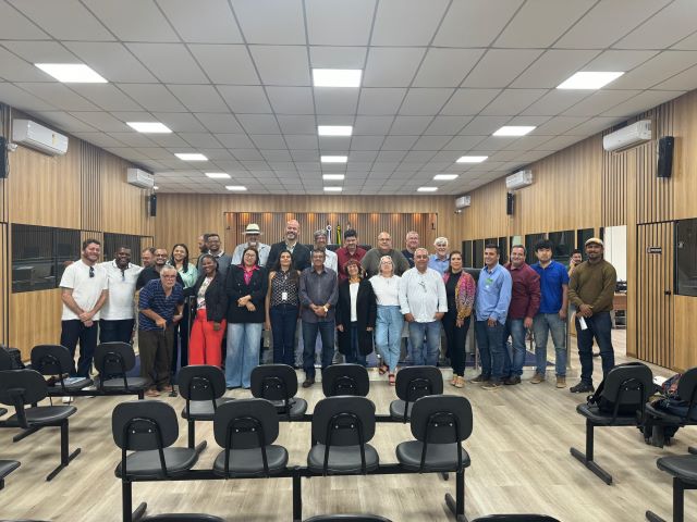 Membros da mesa e grupos participantes da plenária