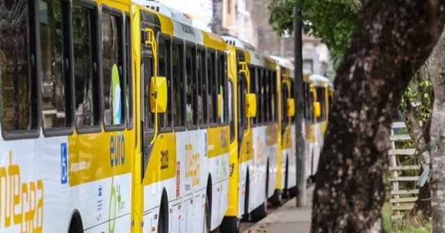 Transporte público/ ônibus