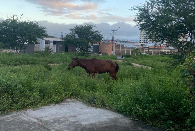 Vila Olímpia