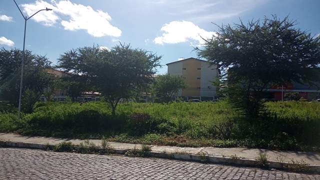 Vila Olímpia