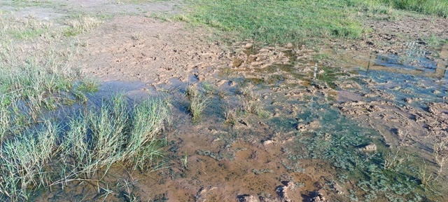 Campo de futebol