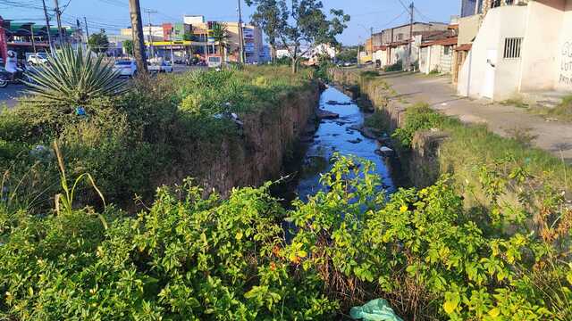 Moradores do bairro Rua Nova solicitam coleta de lixo e limpeza em rua (6)