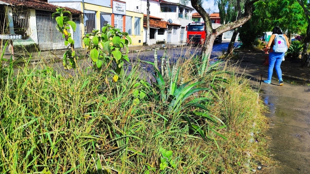 Praça Maria Quitéria