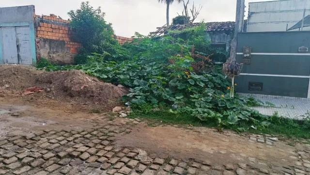 matagal bairro conceição