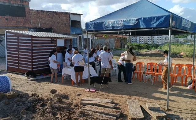 Casinha de acolhimento para cães abandonados é reinaugurada após ser incendiada