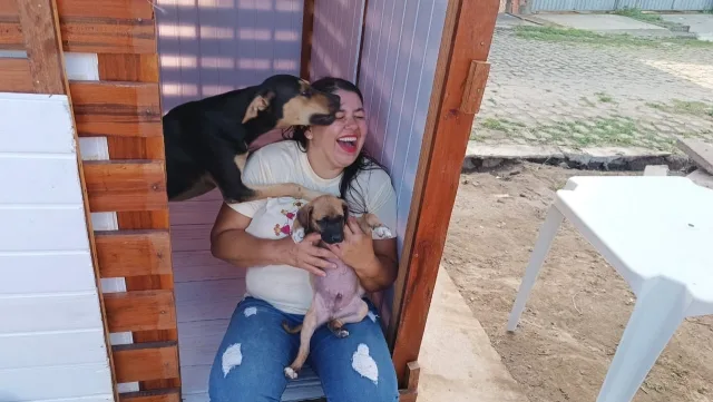 Casinha de acolhimento para cães abandonados é reinaugurada após ser incendiada