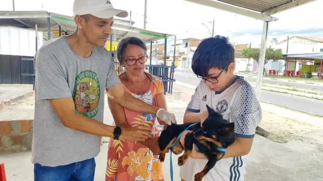 campanha de vacinação cães e gatos centro de zoonoses