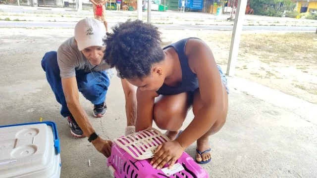 campanha de vacinação cães e gatos centro de zoonoses