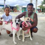 campanha de vacinação cães e gatos centro de zoonoses