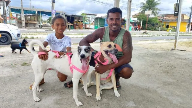 campanha de vacinação cães e gatos centro de zoonoses 