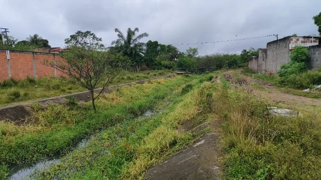 Rua v1 - aviário - canal